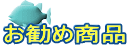 ߏi